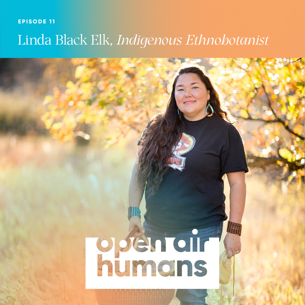 Episode 11: Indigenous ethnobotanist Linda Black Elk on plant medicine